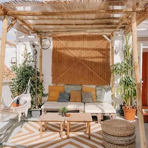 The Urban Jungle Albergue